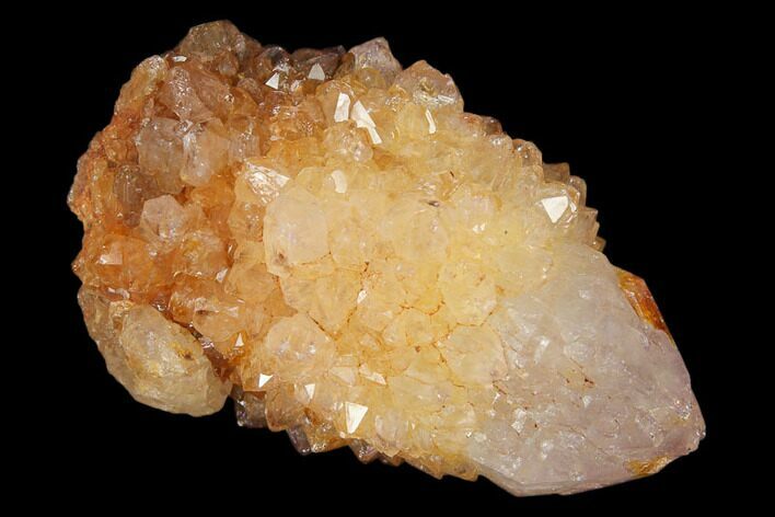 Sunshine Cactus Quartz Crystal - South Africa #122304